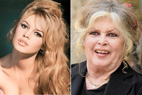 Brigitte Bardot jeune l’icône qui a révolutionné le cinéma la mode et la culture populaire
